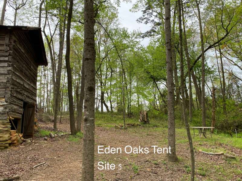 Eden-Oaks-Site-5