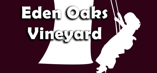 Eden Oaks Vineyard